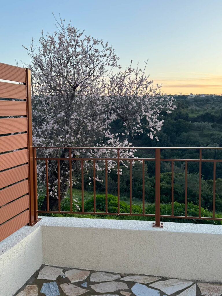 Almond tree in bloom