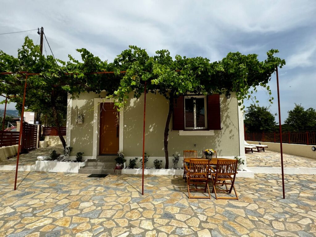 The house under the vine pergola