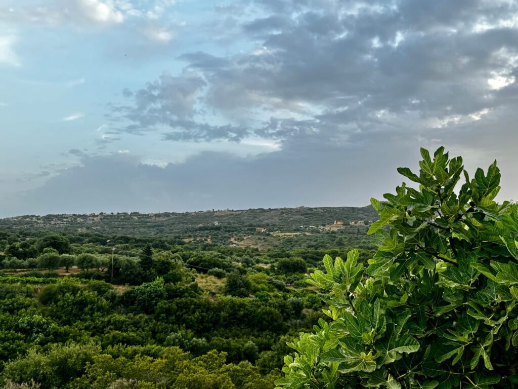 The view to the hills